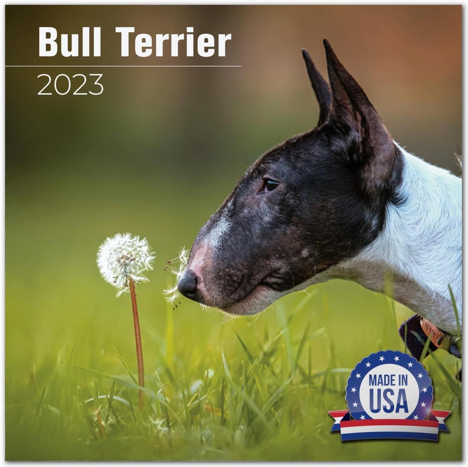 staffordshire bull terrier